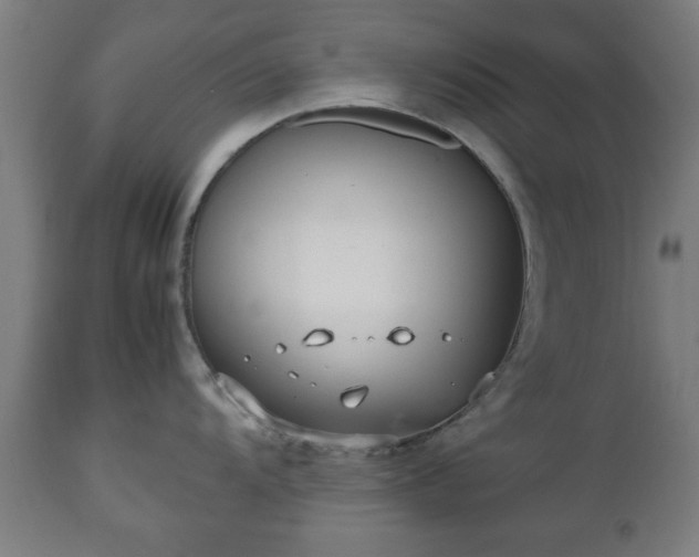 X0000112491104200908241319