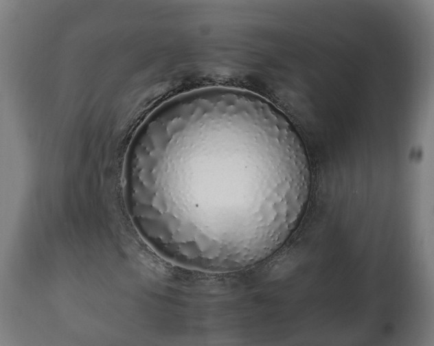 X0000112491105200908241319