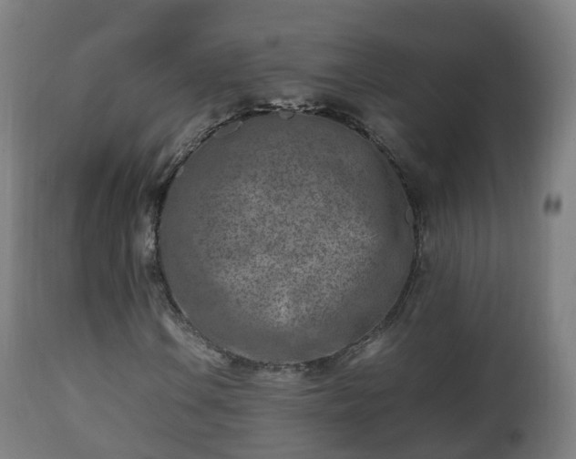 X0000112491106200908241319