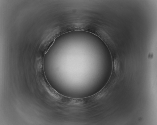 X0000112491107200908241319