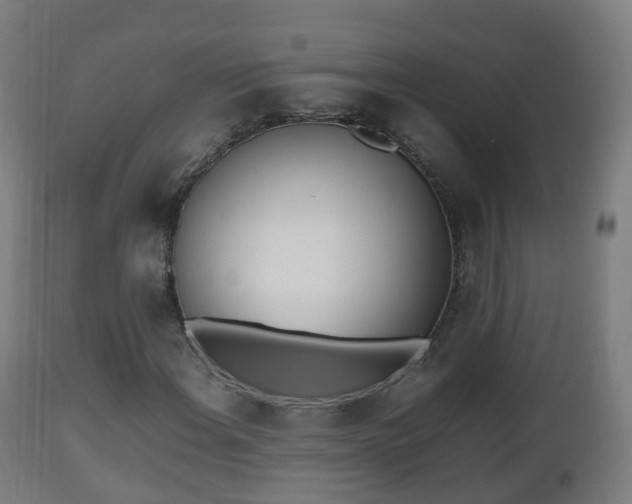 X0000112491108200908241319