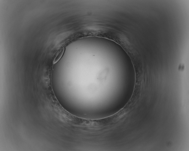 X0000112491109200908241319