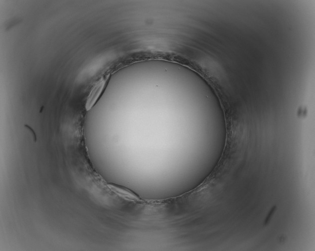 X0000112491110200908241319