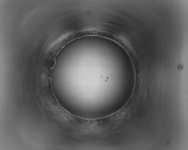 X0000112491111200908241319