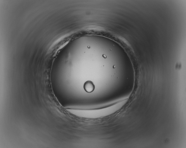 X0000112491112200908241319