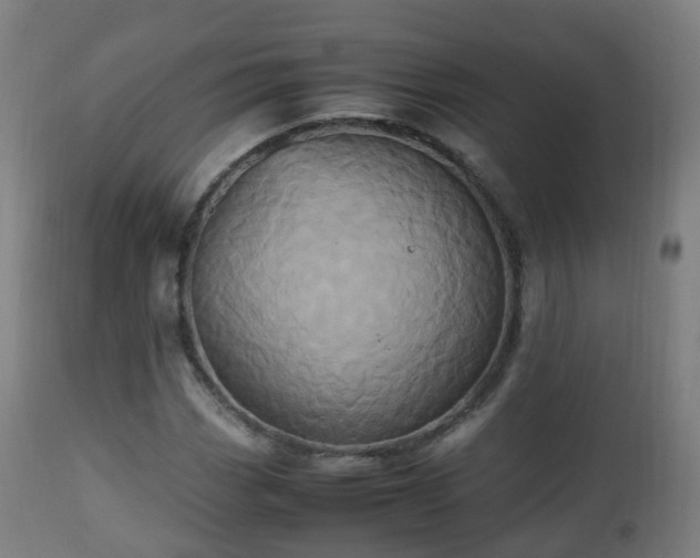 X0000112491113200908241319