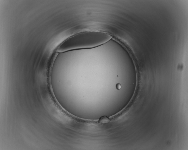 X0000112491114200908241319