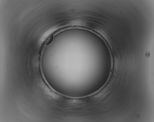 X0000112491115200908241319