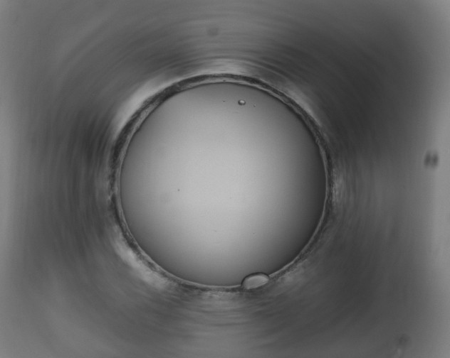 X0000112491116200908241319