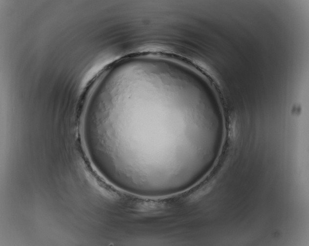 X0000112491117200908241319