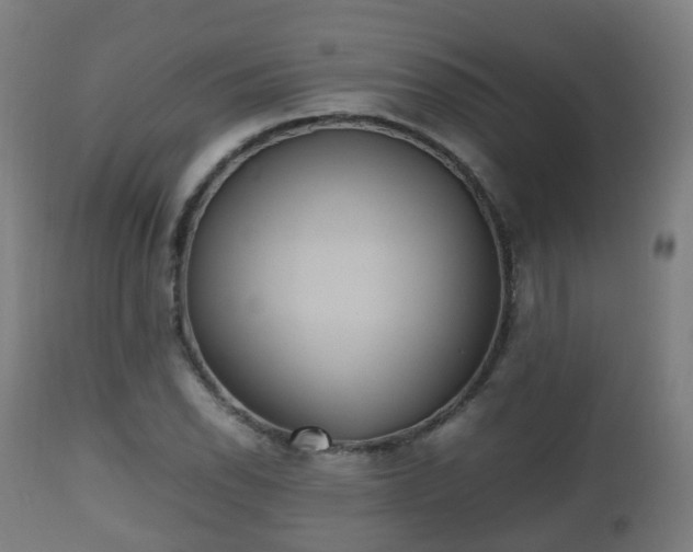 X0000112491118200908241319