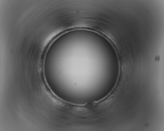 X0000112491119200908241319