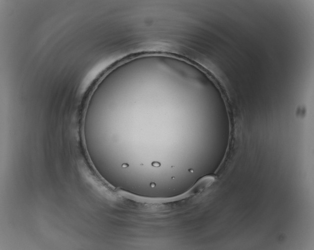 X0000112491120200908241319