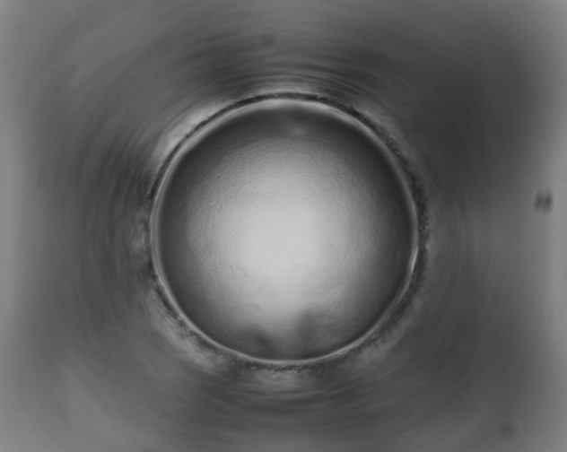 X0000112491121200908241319