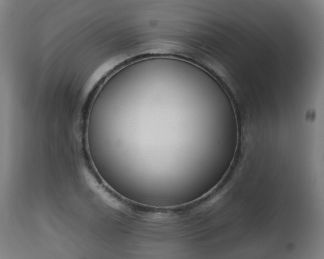 X0000112491122200908241319