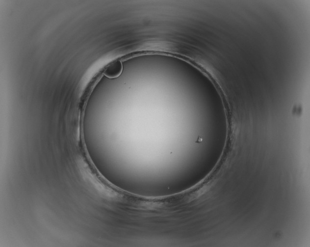 X0000112491123200908241319