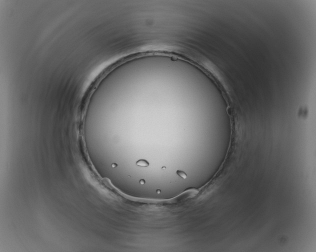 X0000112491124200908241319