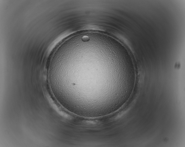 X0000112491125200908241319