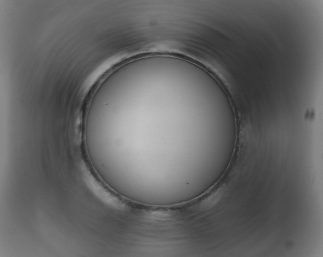 X0000112491126200908241319