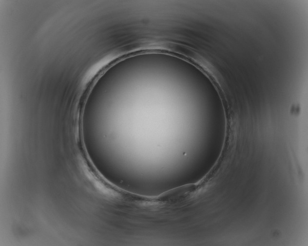 X0000112491127200908241319