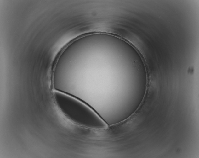 X0000112491128200908241319