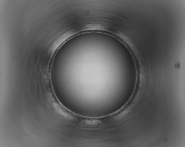 X0000112491129200908241319