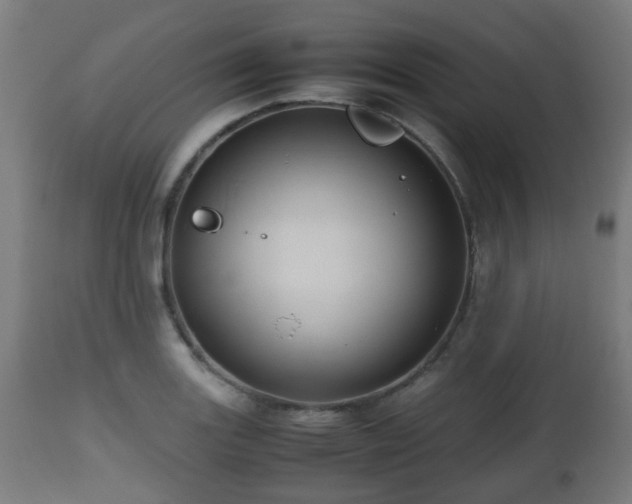 X0000112491131200908241319