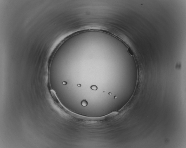 X0000112491132200908241319