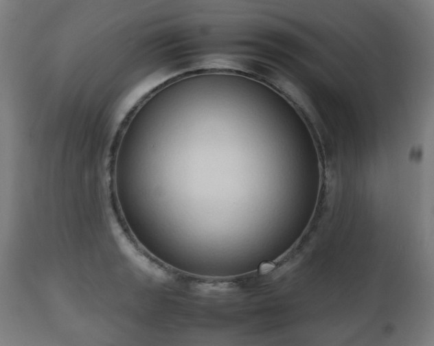 X0000112491133200908241319