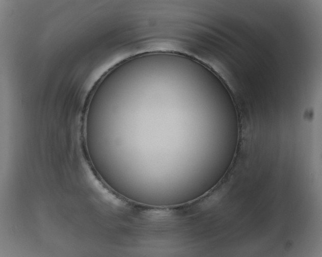 X0000112491134200908241319