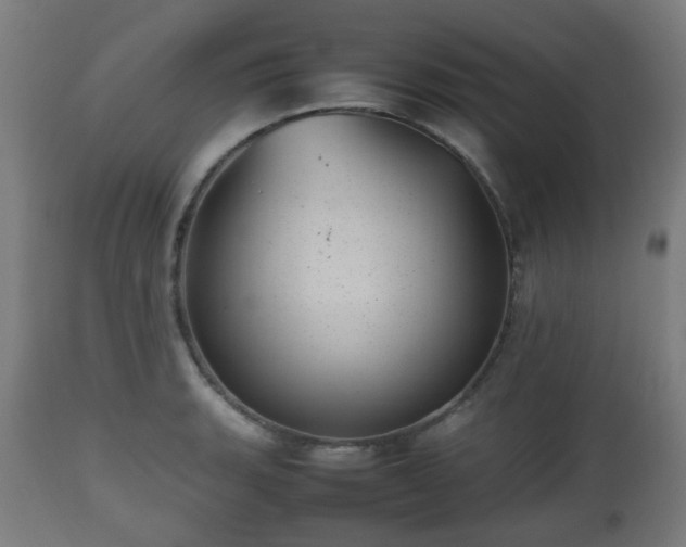 X0000112491135200908241319