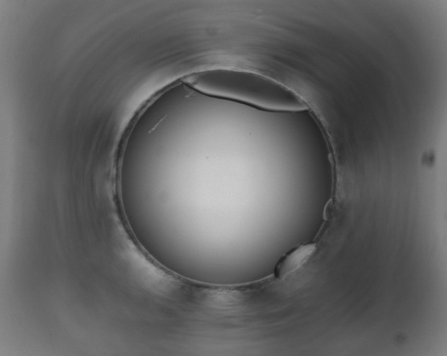 X0000112491136200908241319