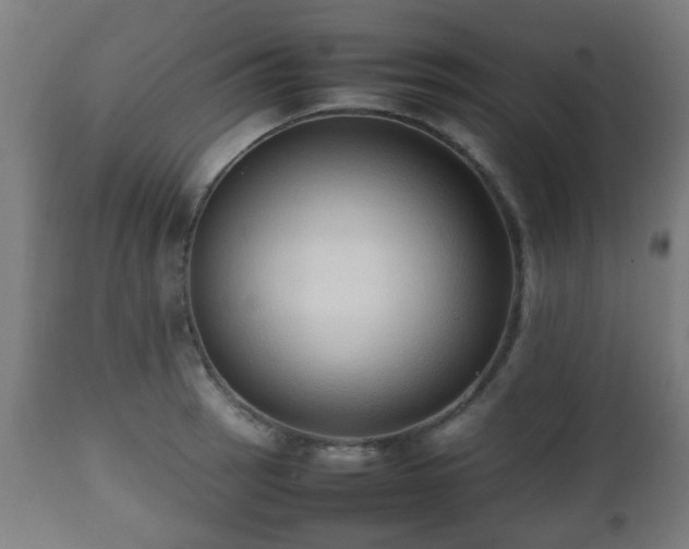 X0000112491137200908241319