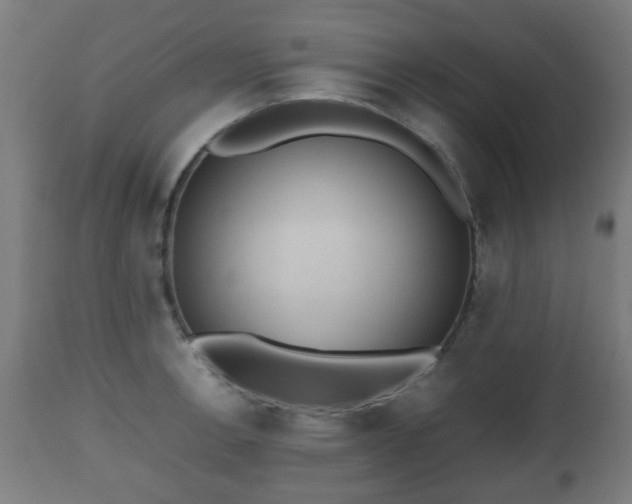 X0000112491138200908241319