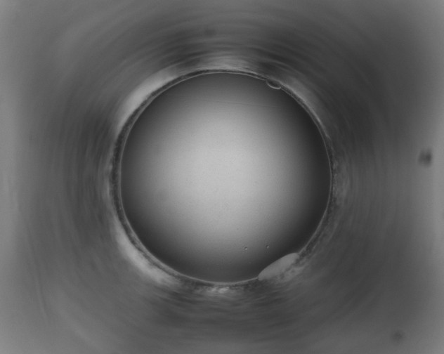 X0000112491139200908241319