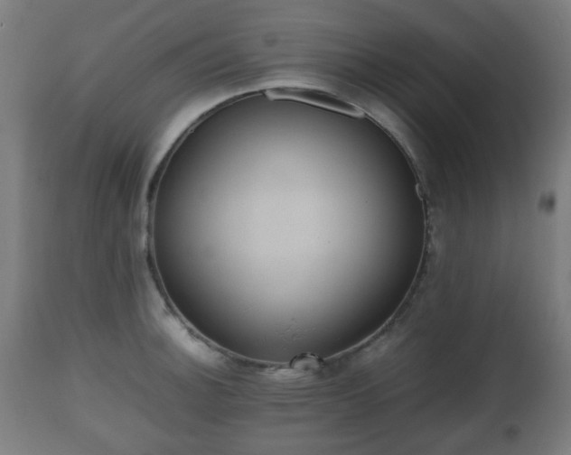 X0000112491140200908241319