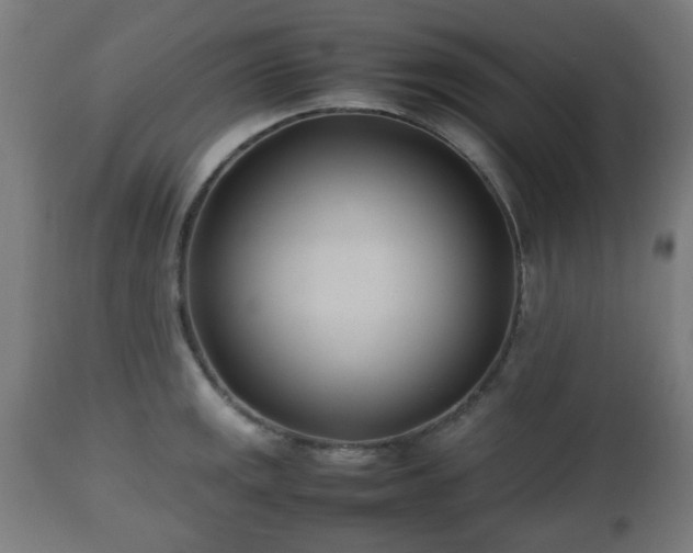 X0000112491141200908241319