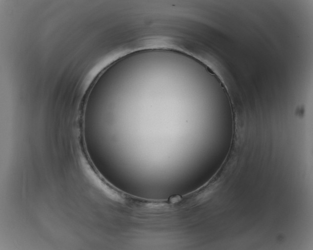 X0000112491142200908241319