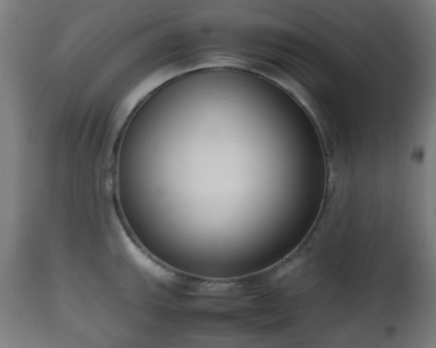 X0000112491143200908241319