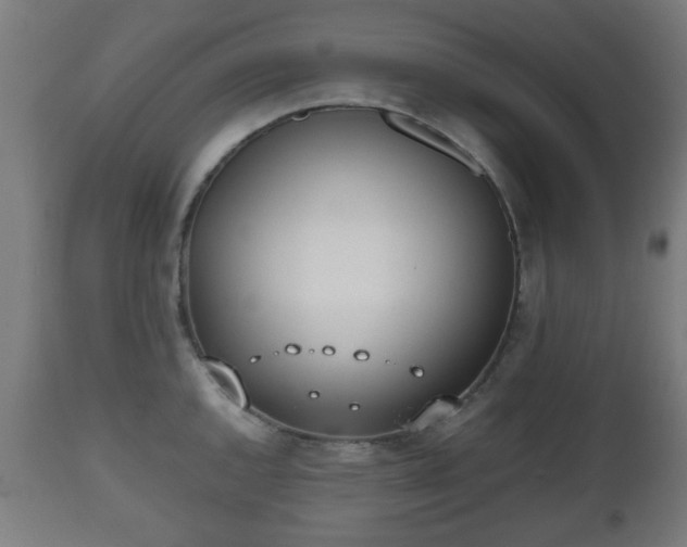 X0000112491144200908241319