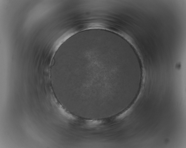 X0000112491145200908241319