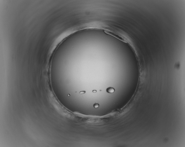 X0000112491146200908241319