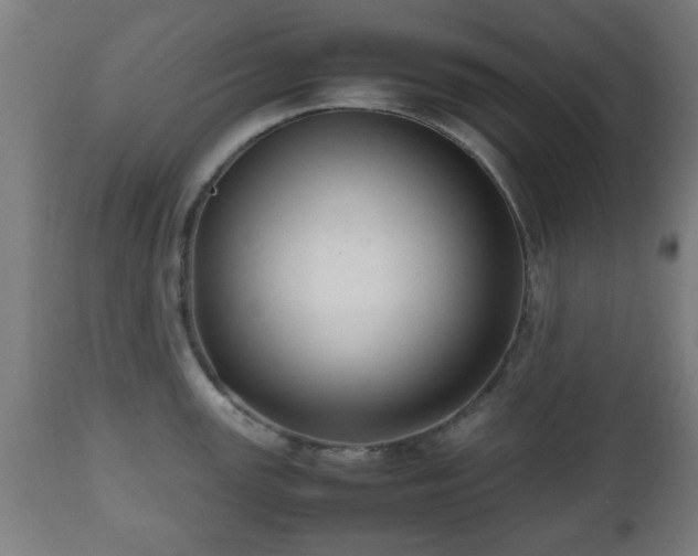 X0000112491147200908241319