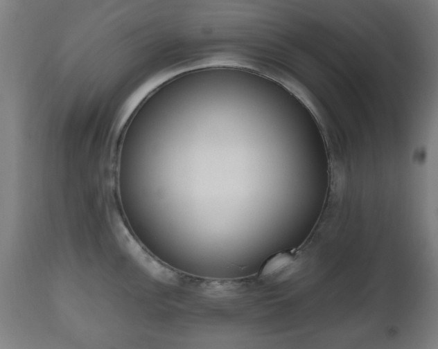 X0000112491148200908241319