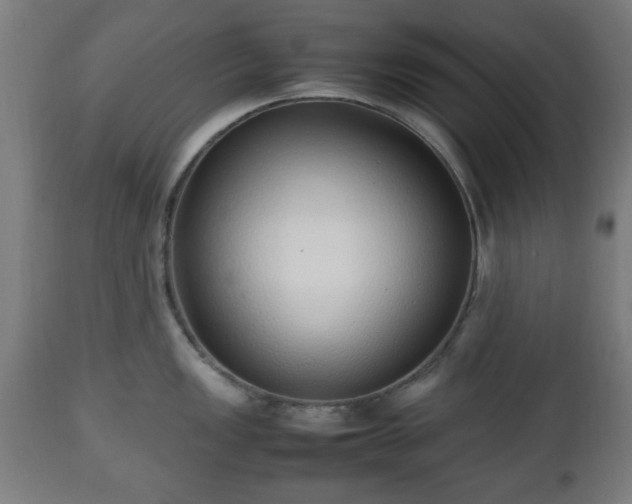 X0000112491149200908241319