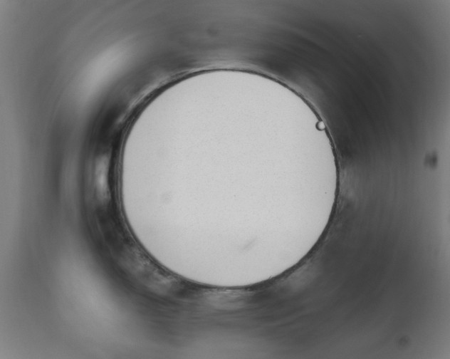 X0000112491150200908241319