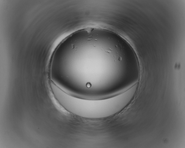 X0000112491152200908241319