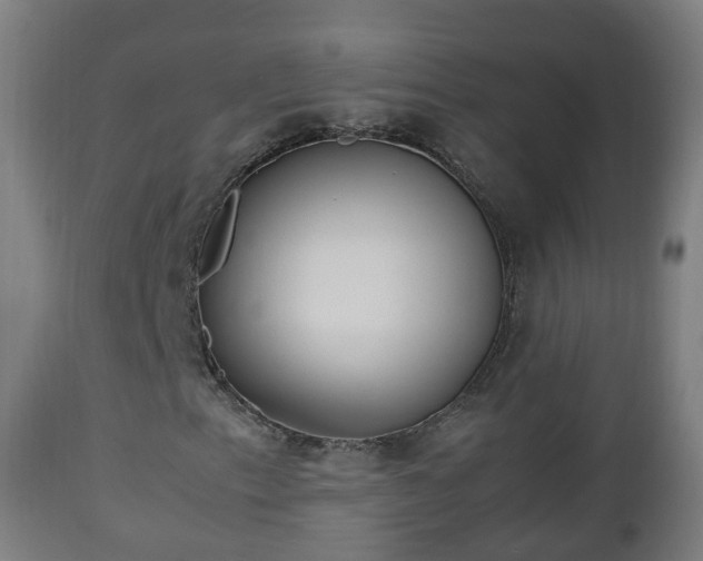 X0000112491153200908241319