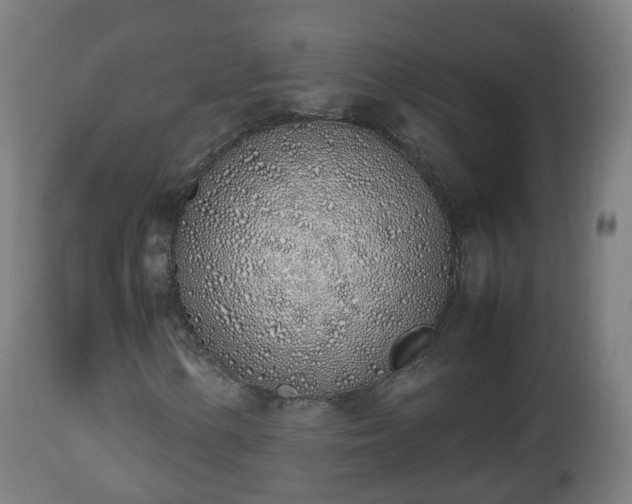 X0000112491154200908241319