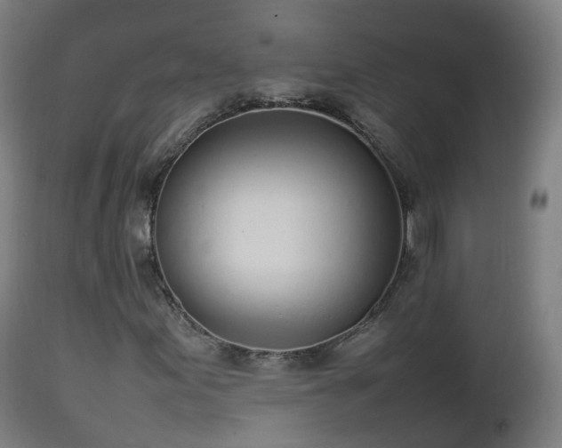 X0000112491155200908241319